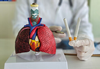 No tobacco day. Lungs image with butts cigarettes and Ash from cigarette or cigar smoke concept