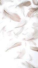 Obraz premium Floating Feathers: A Serene Image of Delicate, Light Brown and White Feathers Against a Pure White Background