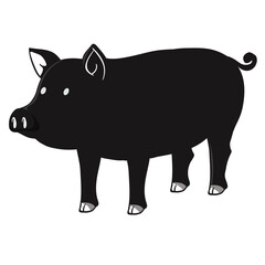 vector illustration of a pig