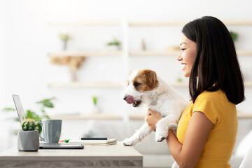 Side view of pretty millennial japanese woman in casual freelancer working from home with her cute fluffy doggy, typing on laptop keyboard, holding jack russel dog on her lap, copy space