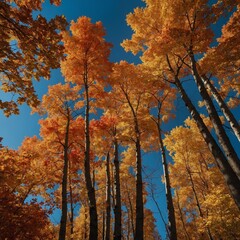 Fototapeta premium A picturesque autumn forest with golden, orange, and red leaves gently falling, set against a deep blue sky.