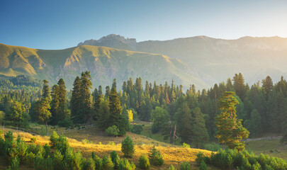 Fototapeta premium Mountain range at early morning sunrise.