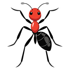 ant vector