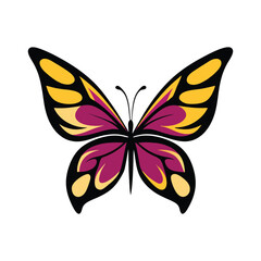 butterfly on white background