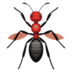 ant vector