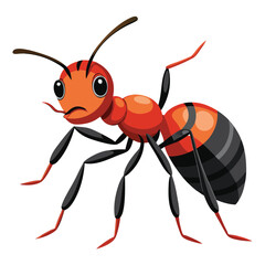 Fototapeta premium ant vector
