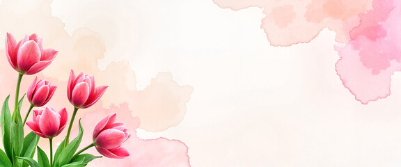 Fototapeta premium Beautiful pink tulips with a watercolor wash background for floral decoration, for design a banner or postcard for International Women's Day
