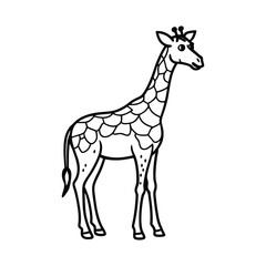 Fototapeta premium giraffe isolated on white background