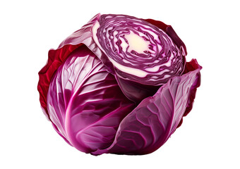 Fototapeta premium Cabbage Isolated on transparent or white background