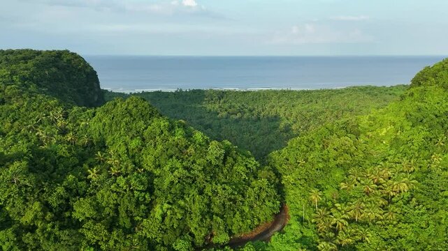 Winding Road Through Tropical Valley, Philippines: Lush Forest and Coastal View (Aerial)