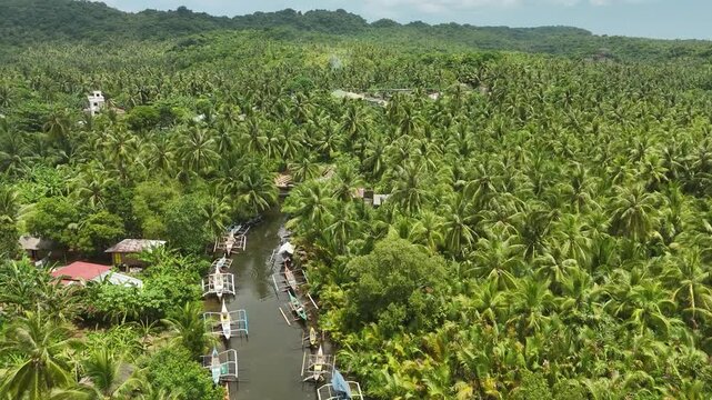 Eastern Samar, Philippines: Aerial View of River, Boats, and Lush Coconut Palm Forest