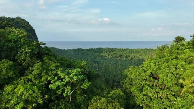 Tropical Forest and Ocean View, Philippines