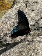 ธรรมชาตที่อุดมสมบูรณ์