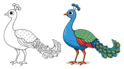 Obraz premium Peacock Isolated Line Art Vector Outline Illustration Black and White with Coloring Sample