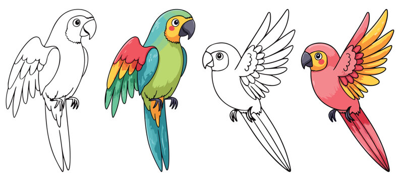 Cute Parrots Isolated Line Art Vector Outline Illustration Black and White with Coloring Sample