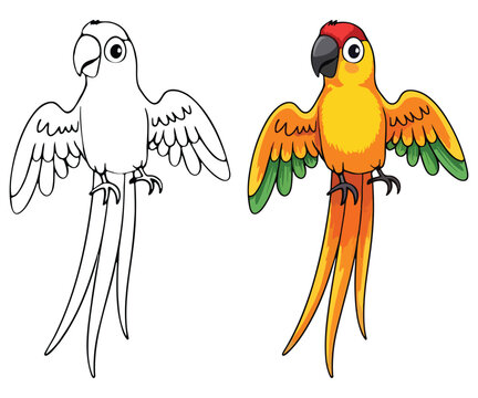 Cute Parrot Isolated Line Art Vector Outline Illustration Black and White with Coloring Sample