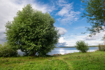 On the shore of Lake Shartash on a summer day in the Shartash forest Park. Ekaterinburg