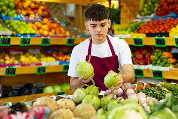 Portrait of a hardworking guy seller working in a vegetable store near the counter