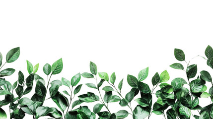 Nature's Border: Fresh green leaves create a vibrant natural border. This clean image with natural elements evokes a sense of freshness, growth and natural beauty.