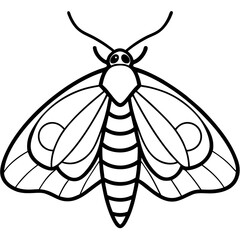 Minimalist Moth Sketch