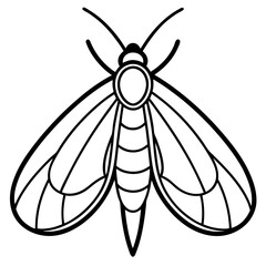 Minimalist Moth Sketch