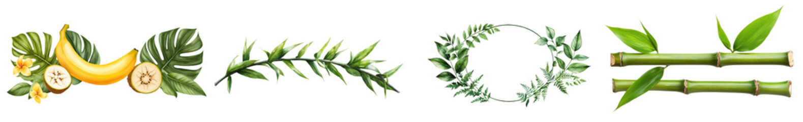 Tropical foliage isolates tree and leaf scenes lush environment close-up view nature concept