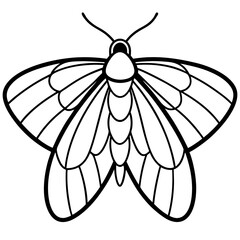 Minimalist Moth Sketch