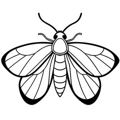 Minimalist Moth Sketch