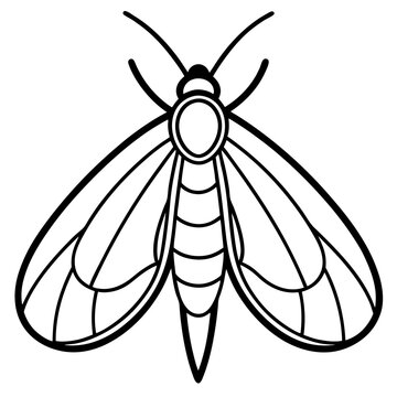 black and white moth outline clip art preview