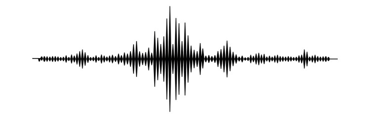 seismogram for seismic measurement.	