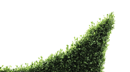 Eco-Growth: A vibrant green hedge sculpted into an upward-pointing arrow symbolizes growth, progress, and environmental consciousness, set against a clean background.