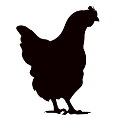 silhouette of a chicken on a white background, vector