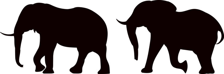 silhouette elephants walking on white background, vector