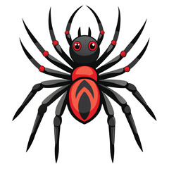 spider vector