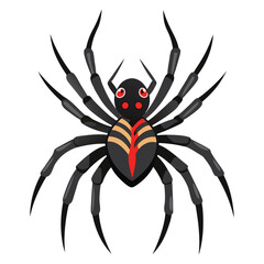 spider vector
