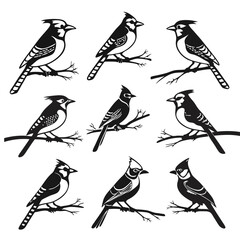 Black and White Vector Illustration of Blue Jays Perched on Branches | Bird Clipart, Wildlife Art, Graphic Design Element