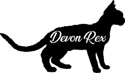 Devon Rex cat silhouette, cat, cat breeds, logo, vector, silhouette,  animal, illustration, icon, sign, design, black, symbol, pet, love
