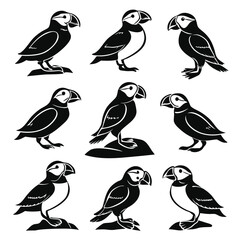 Fototapeta premium Puffin Bird Vector Illustration: Black and White Silhouette Set of Atlantic Puffins, Wildlife Seabirds, Graphic Design Elements for Print & Web