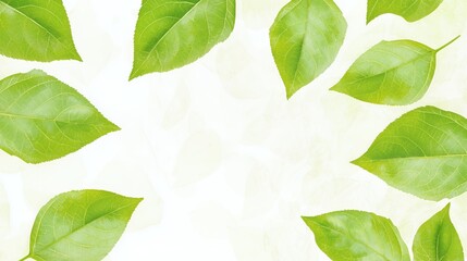 Bright Green Leaves on White Background Soft Light Texture