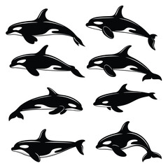 Orca Whale Vector Set: Killer Whale Graphic Illustrations, Black and White Marine Mammal Art, Sea Life Animal Clipart Collection