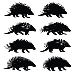 Porcupine Silhouette Vector Set: Graphic Animal Illustrations, Wildlife Art, Black and White Design Elements, Mammal Clip Art Collection