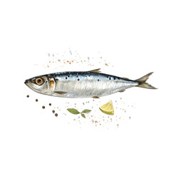 Naklejka premium fish on white background