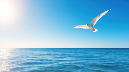 Obraz premium lone bird soaring against vast empty sky over tranquil ocean
