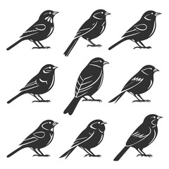 Bird Silhouette Vector Collection: Sparrow, Finch, Songbird Graphics for Logo, Design Elements, Ornithology Illustration Set
