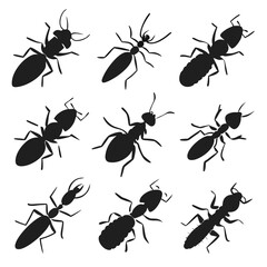Ant Silhouette Vector Set: Black & White Graphic Illustration of Insect Pests for Design, Clip Art, & Educational Resources