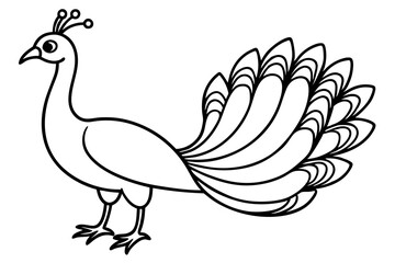 Modern Peacock Line Drawing