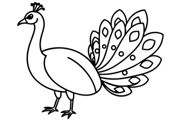 Modern Peacock Line Drawing