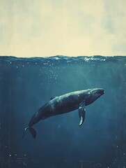 Fototapeta premium Giant whales swimming on the sea surface