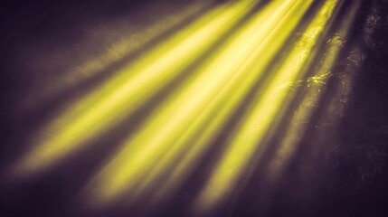 Yellow light beams through smoky forest