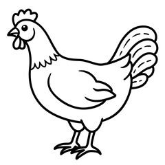Modern Rooster Line Art